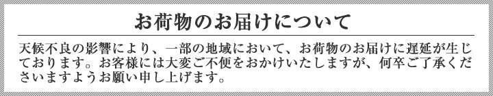 20250115hokkaidouyuki_p.jpg