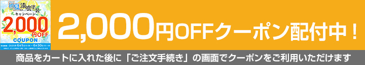 EF漆喰EASYクーポン対象商品2,000円OFF
