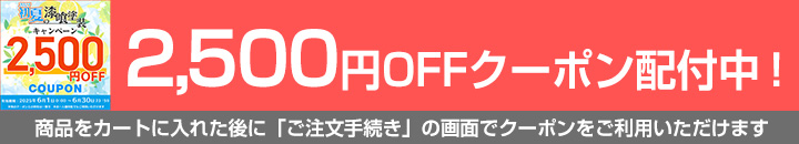 EF漆喰EASYクーポン対象商品2,500円OFF